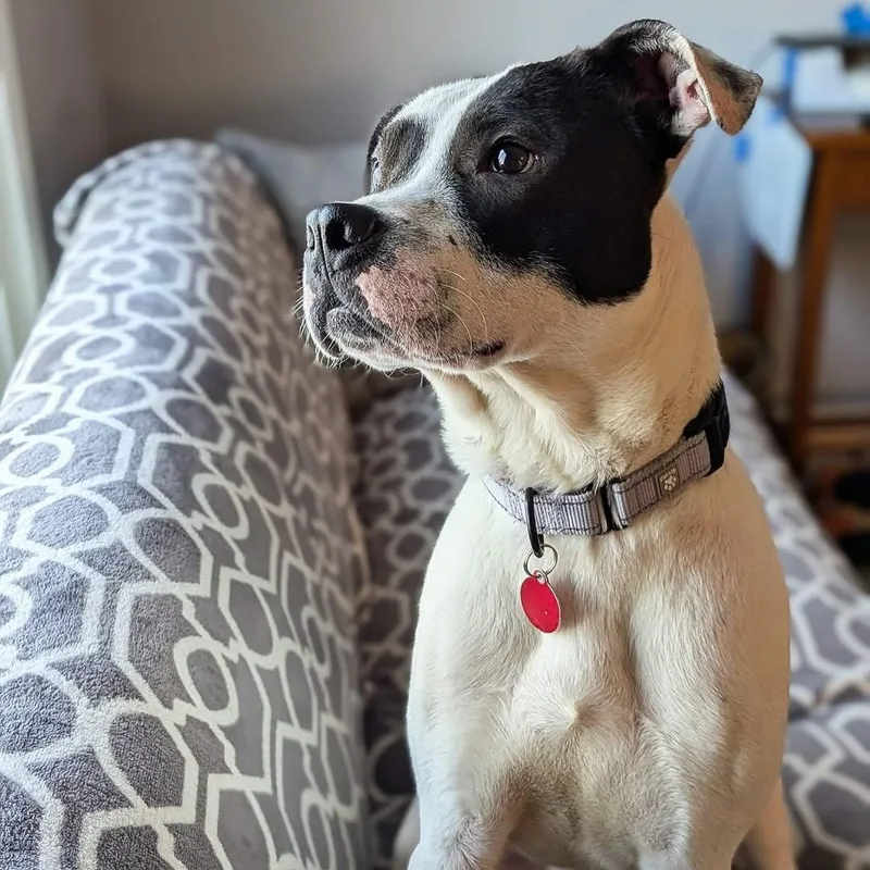 Loverboy thumbnail 2