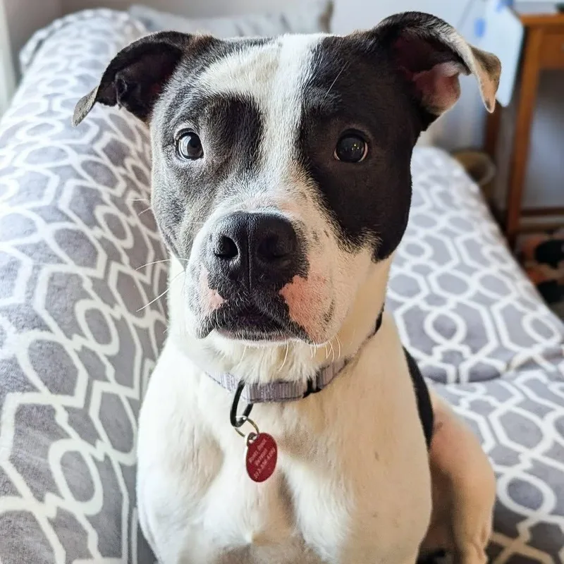 Loverboy thumbnail 3