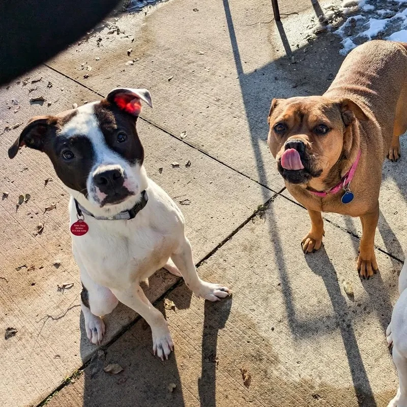 Loverboy thumbnail 4