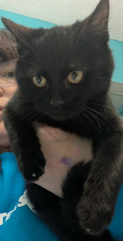 Ghost Pepper thumbnail 2