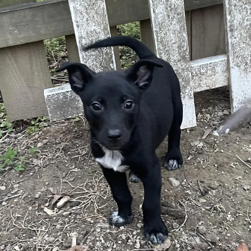 Havenmark thumbnail 3