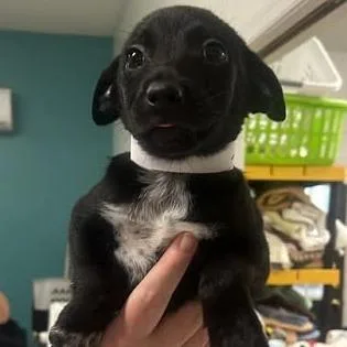 Havenmark thumbnail 4