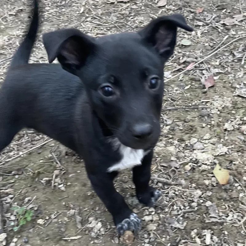 Havenmark thumbnail 5