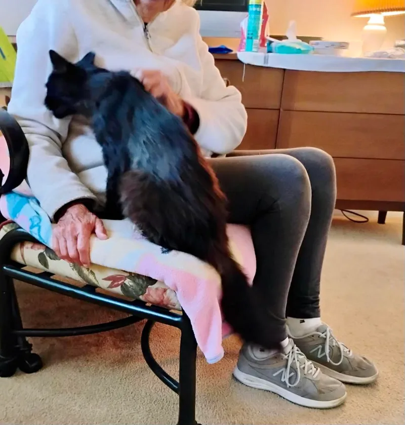 Princess thumbnail 2