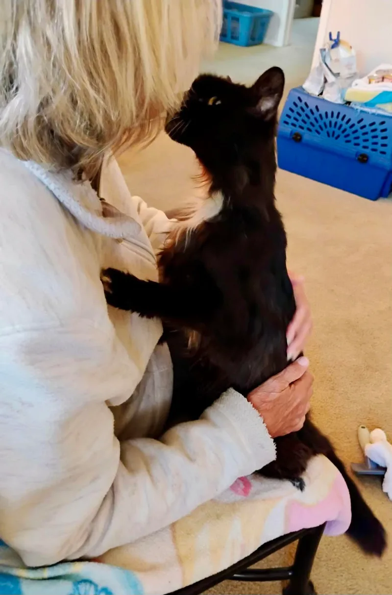 Princess thumbnail 4