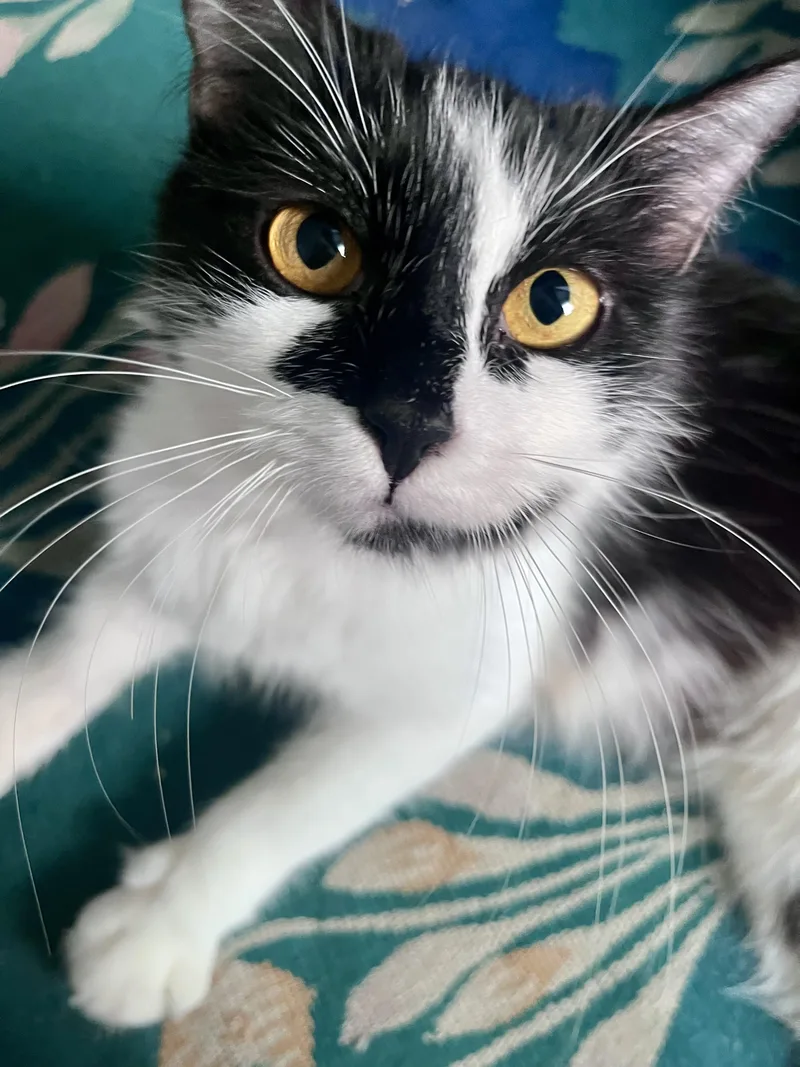 Lily