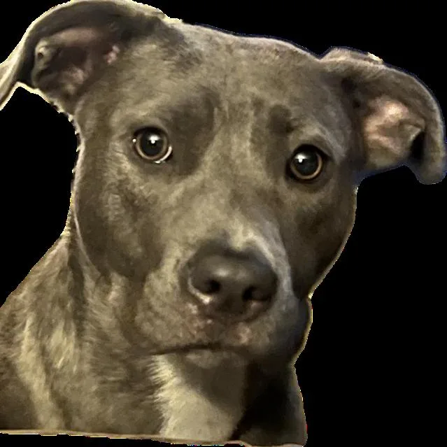 Anna Banana thumbnail 2