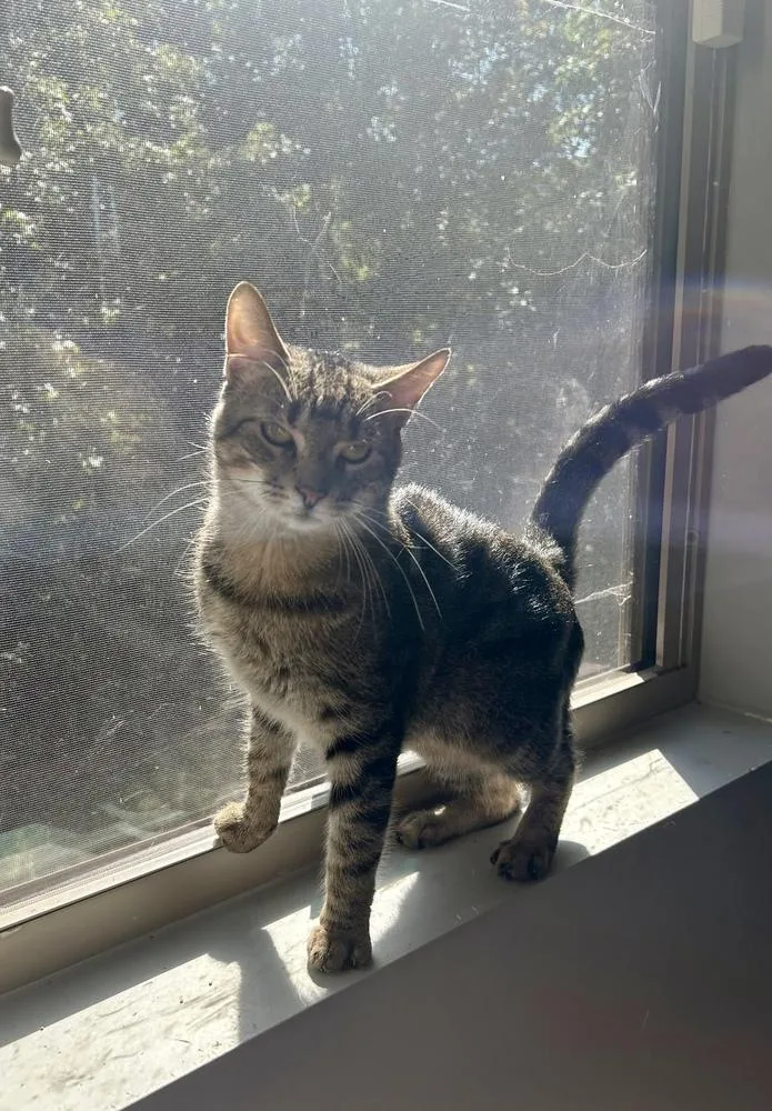 Mikey Am thumbnail 2