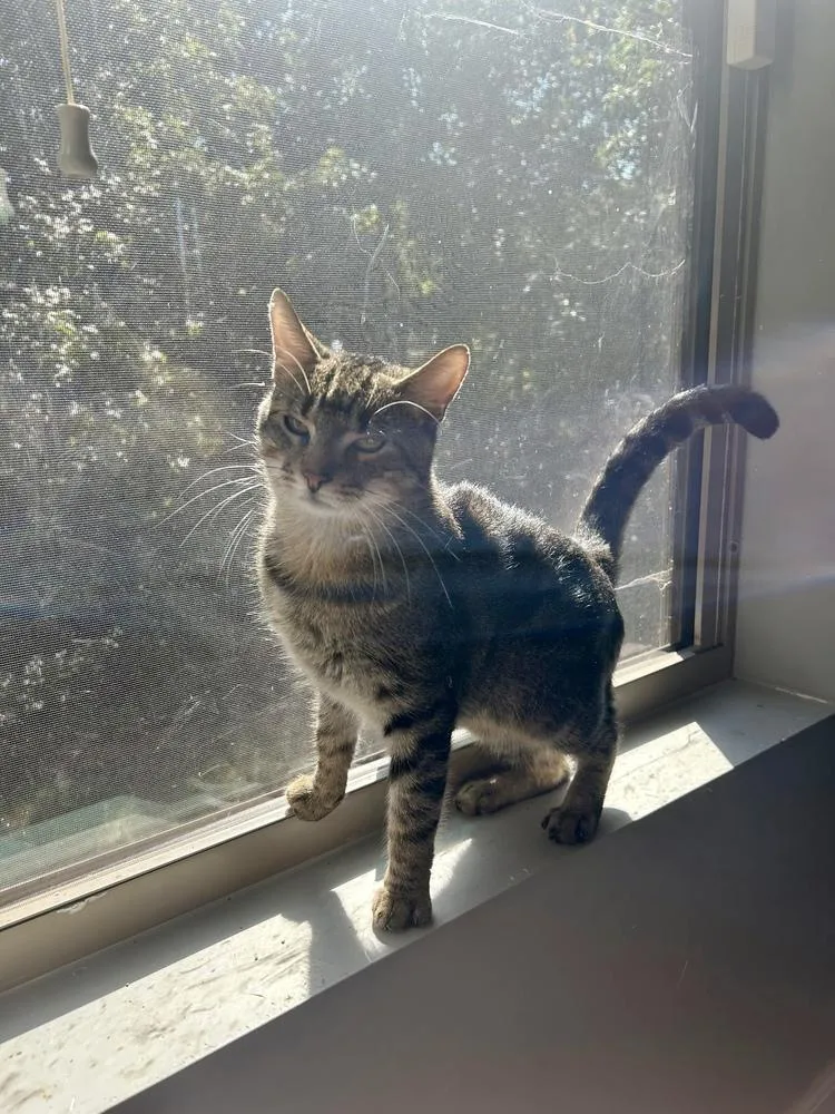 Mikey Am thumbnail 3