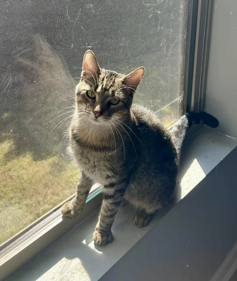 Mikey Am thumbnail 4