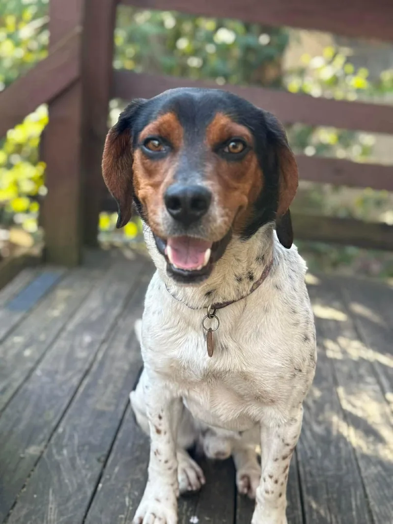 Baptiste thumbnail 2