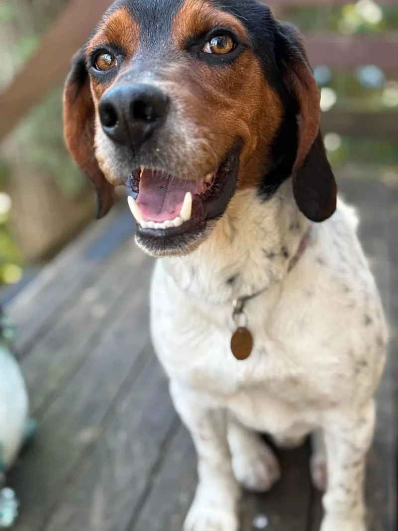 Baptiste thumbnail 3