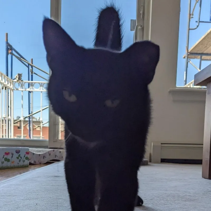 Skittles B.  Sassy thumbnail 3