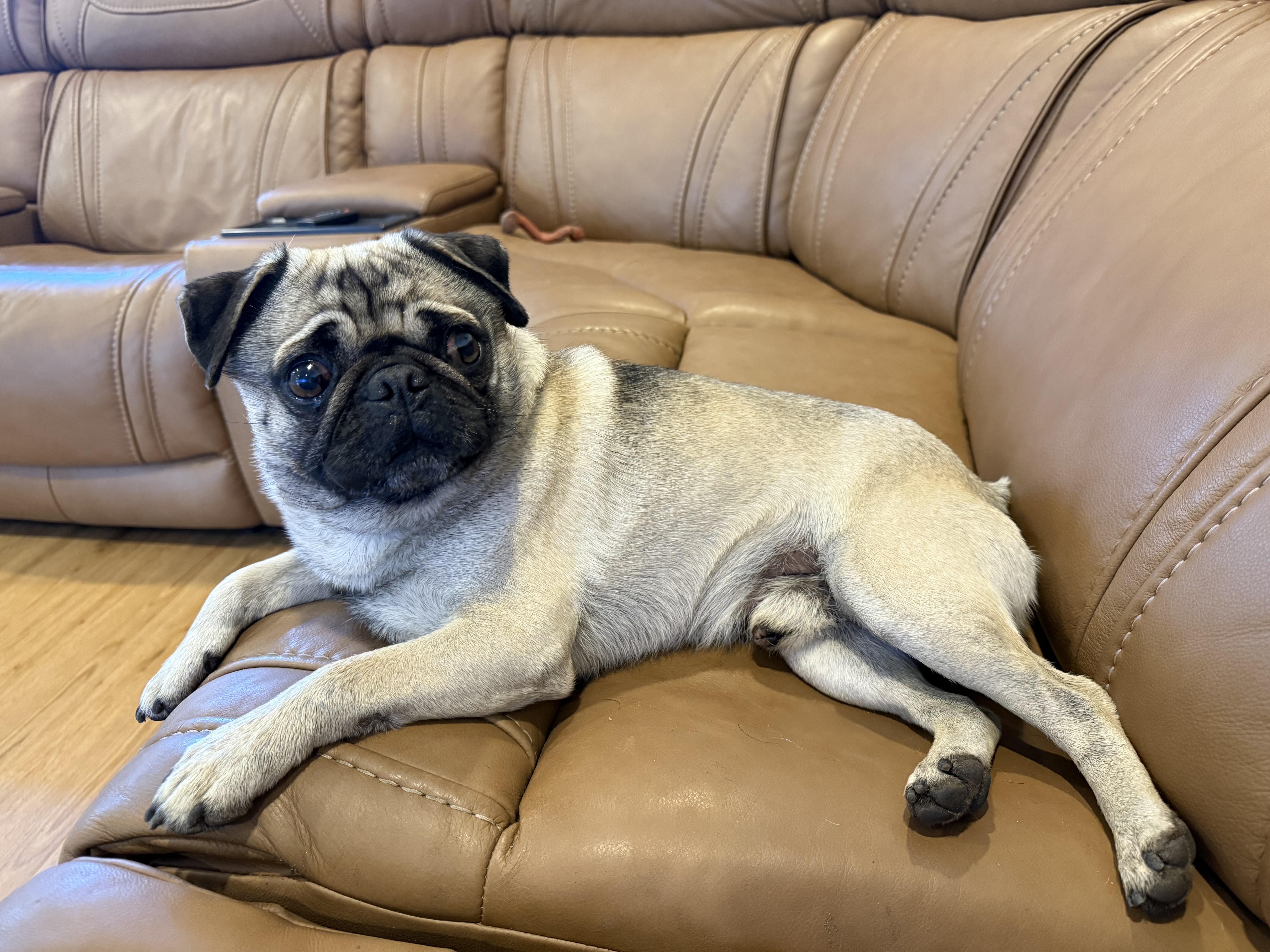 Cornbread thumbnail 3