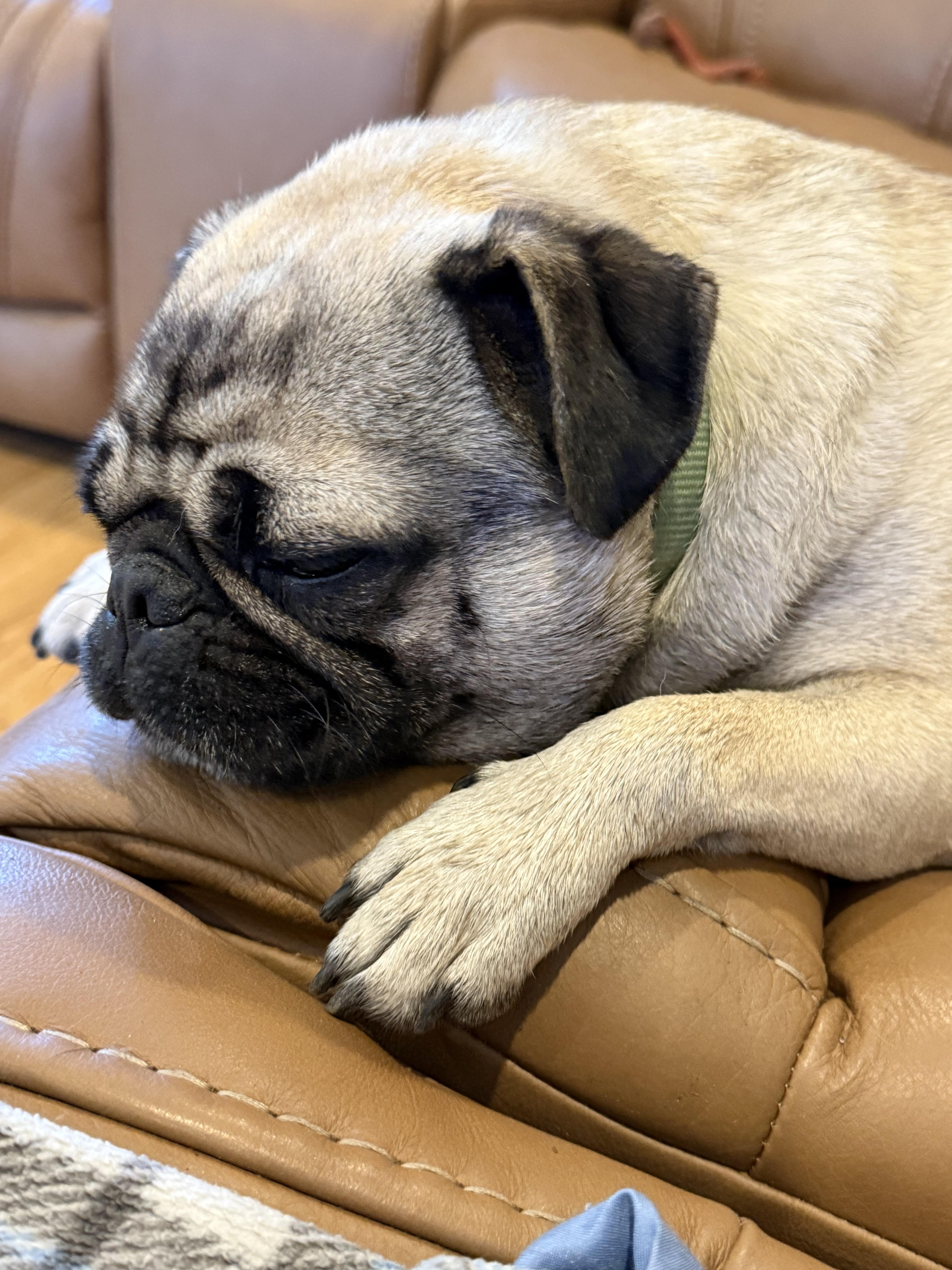 Cornbread thumbnail 5