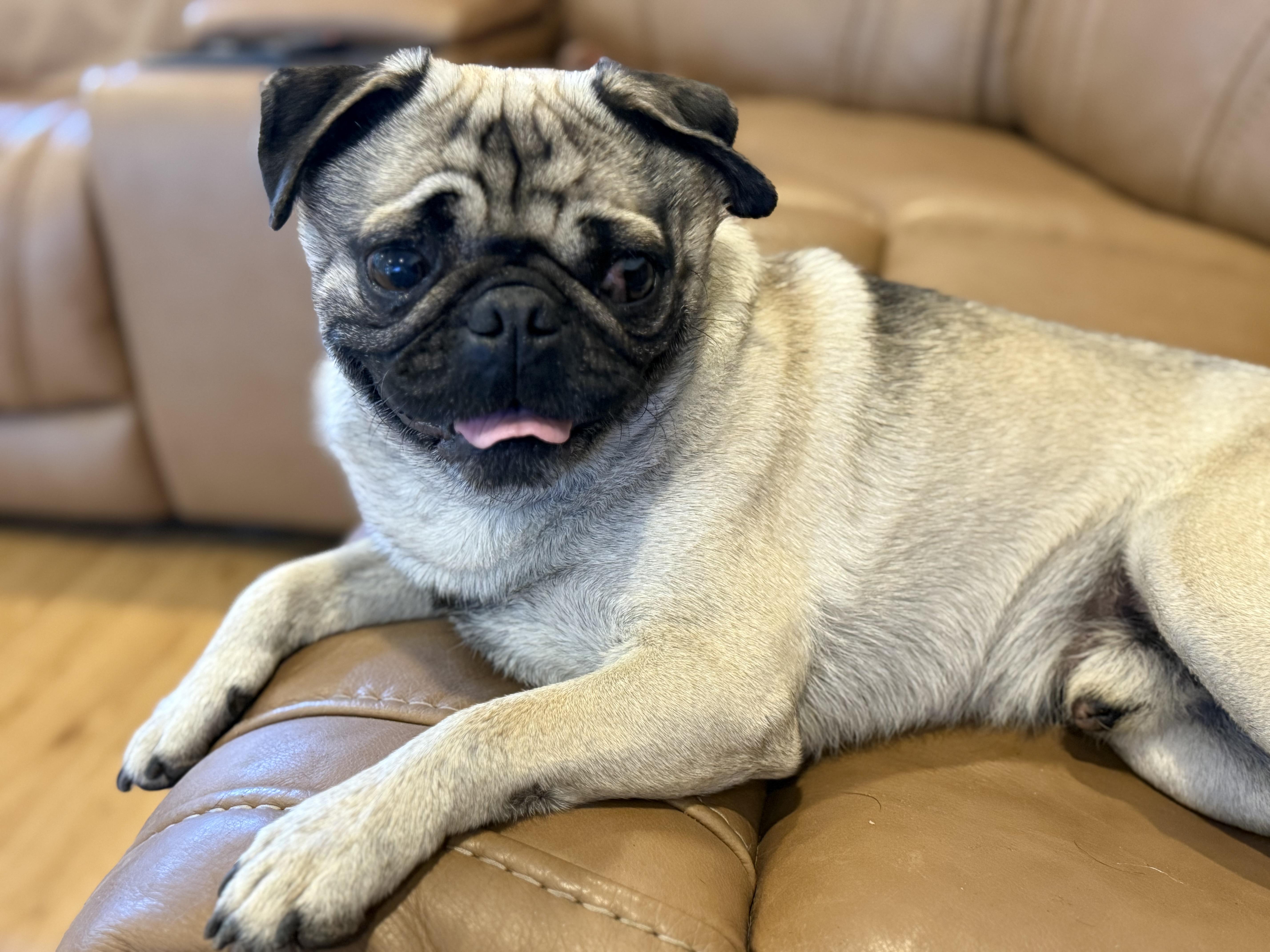 Cornbread thumbnail 6