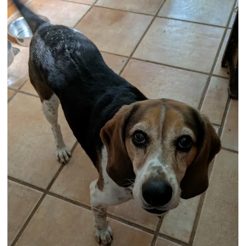 Max