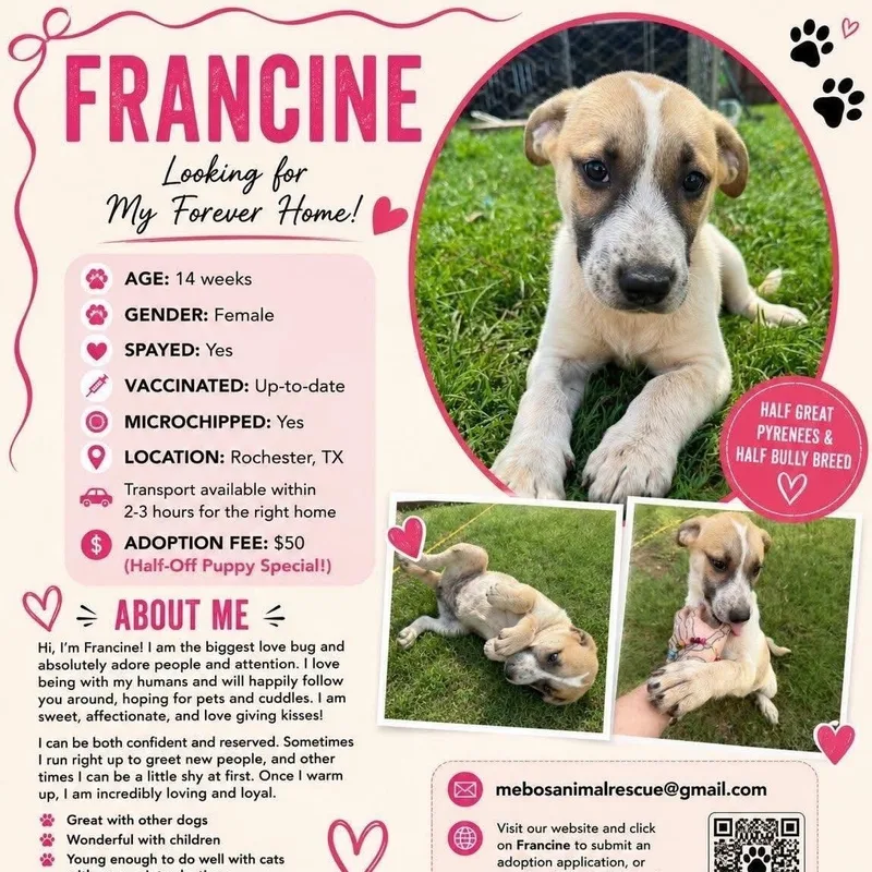 Franny Lovebug thumbnail 3