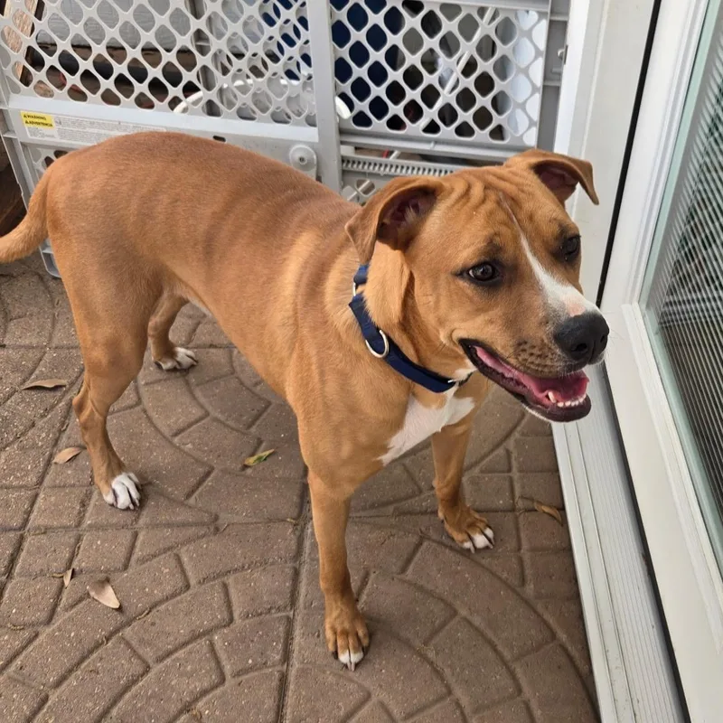 Frank Sinatra thumbnail 2