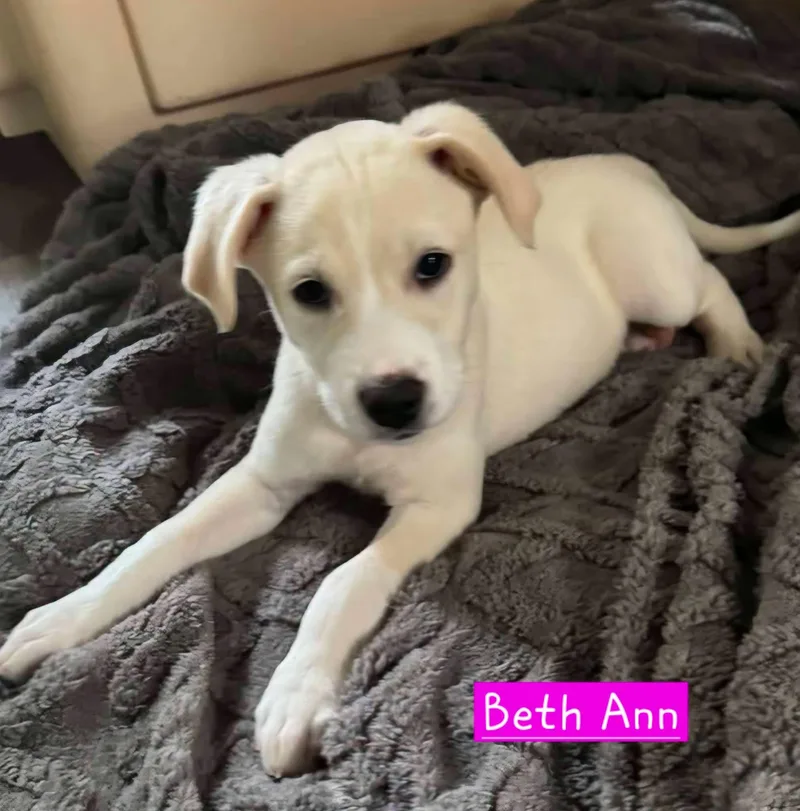 Beth Ann thumbnail 2