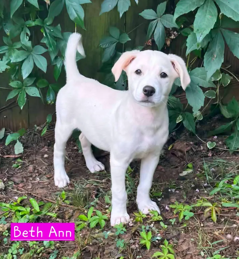 Beth Ann thumbnail 3