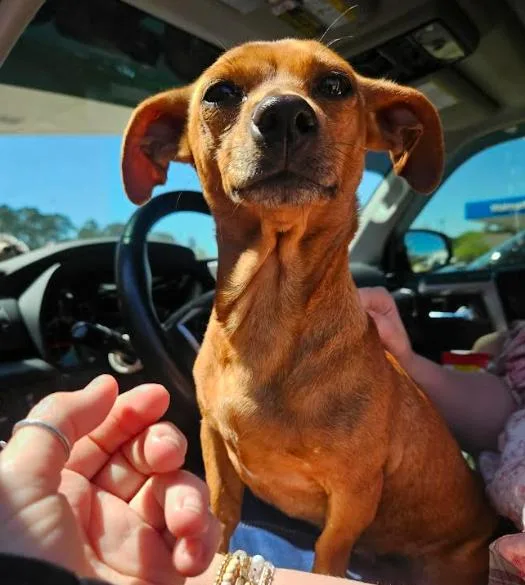 Kit Kat In La thumbnail 2