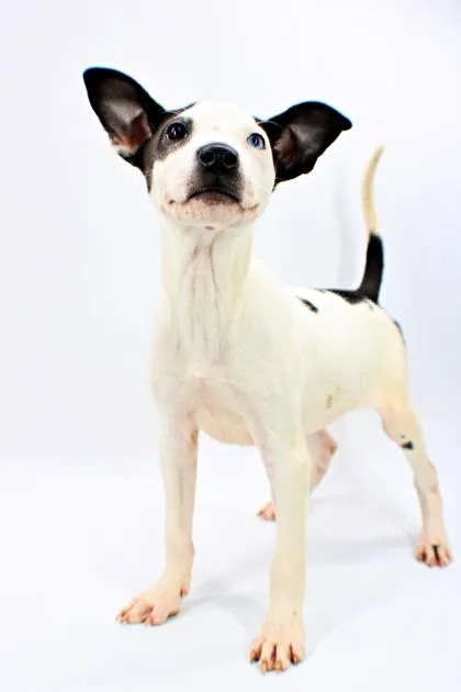 Coco
