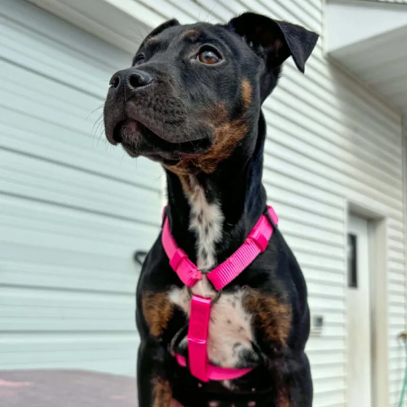 Tessa Lynn thumbnail 2