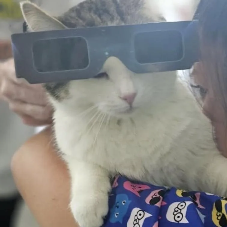 Froot Loop thumbnail 3