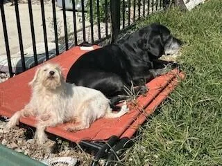 Rob Kendall thumbnail 2