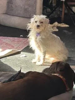 Rob Kendall thumbnail 3