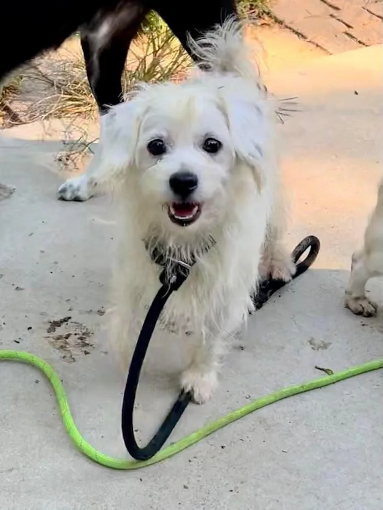 Rob Kendall thumbnail 4