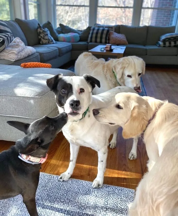 Peggy  Local thumbnail 2