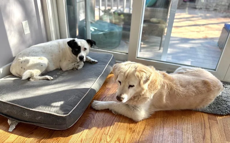 Peggy  Local thumbnail 4