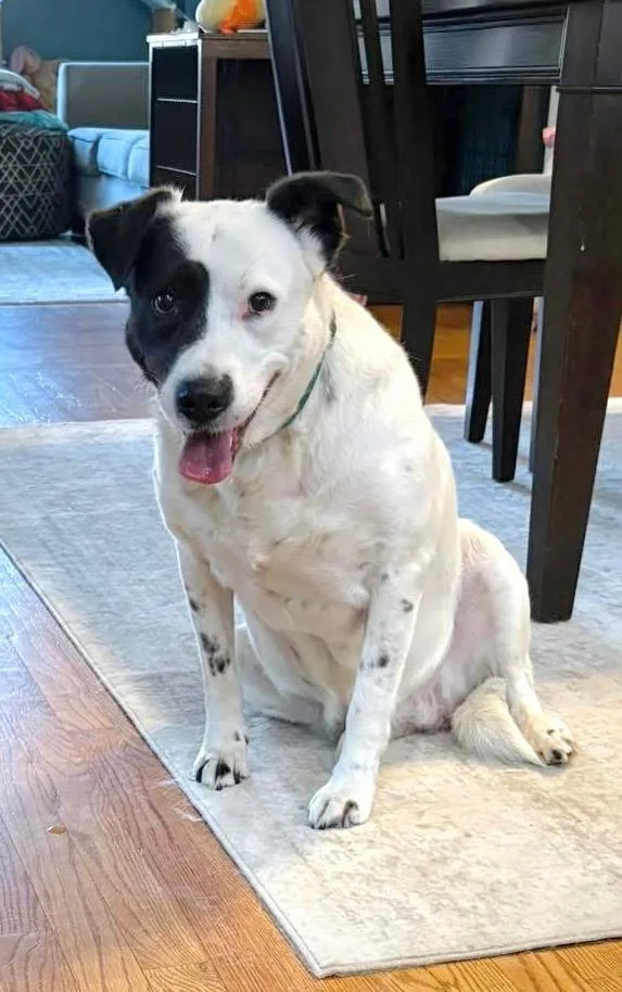 Peggy  Local thumbnail 5