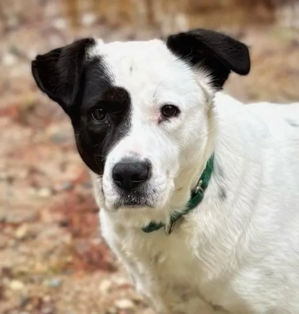 Peggy  Local thumbnail 6