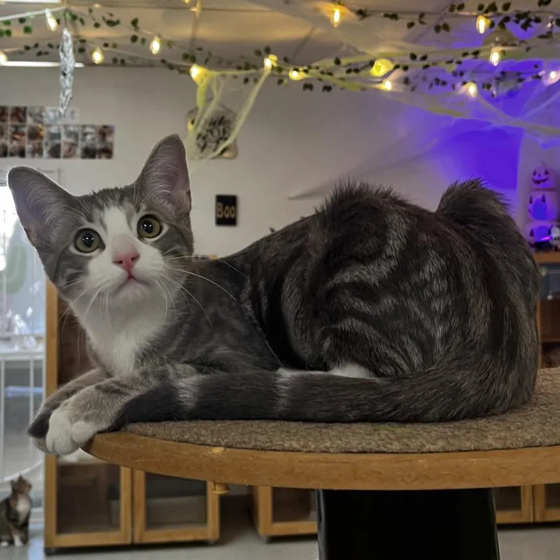 Tim Purry thumbnail 4