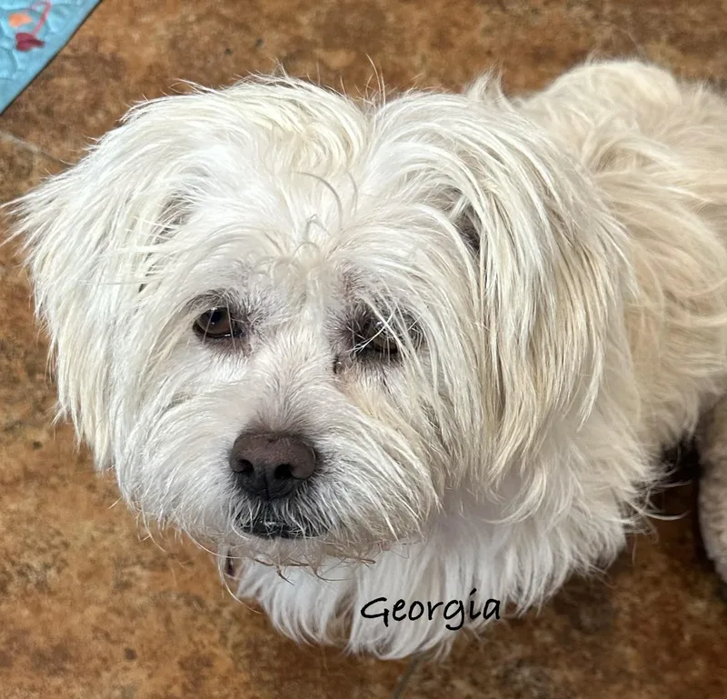 Georgia