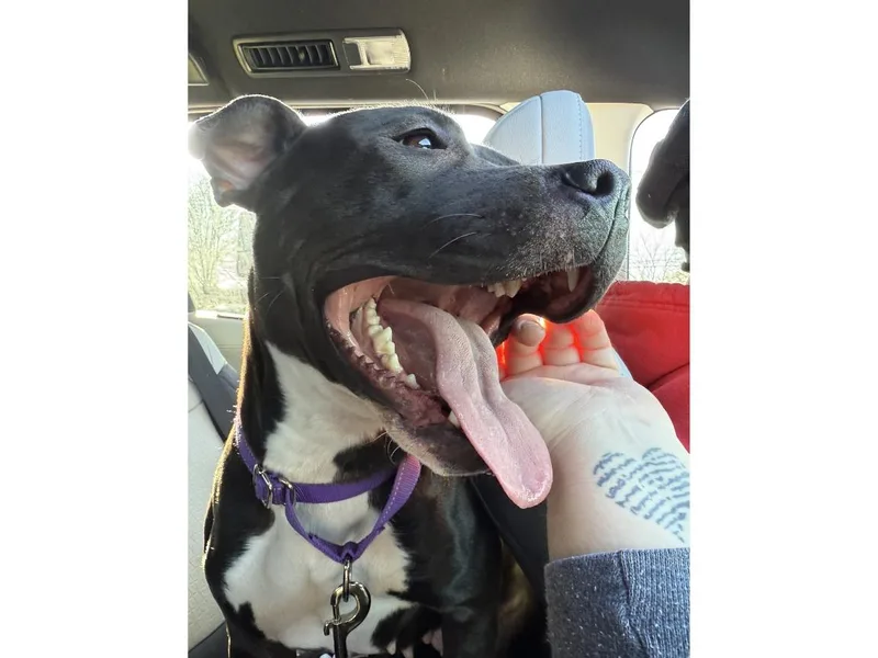 Cleo Patty thumbnail 2