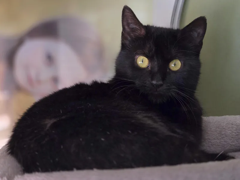 Winifred thumbnail 2