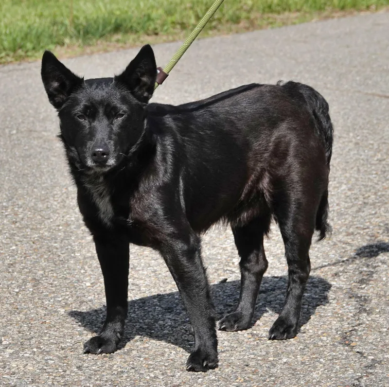 John Wayne thumbnail 2