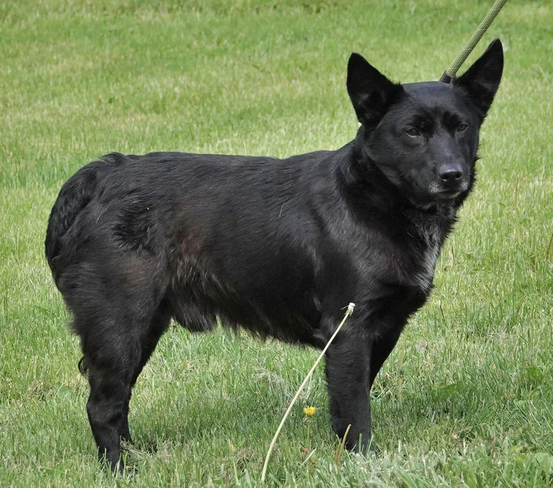 John Wayne thumbnail 3