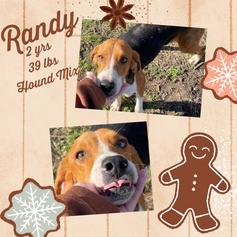 Andy Fka Randy thumbnail 2