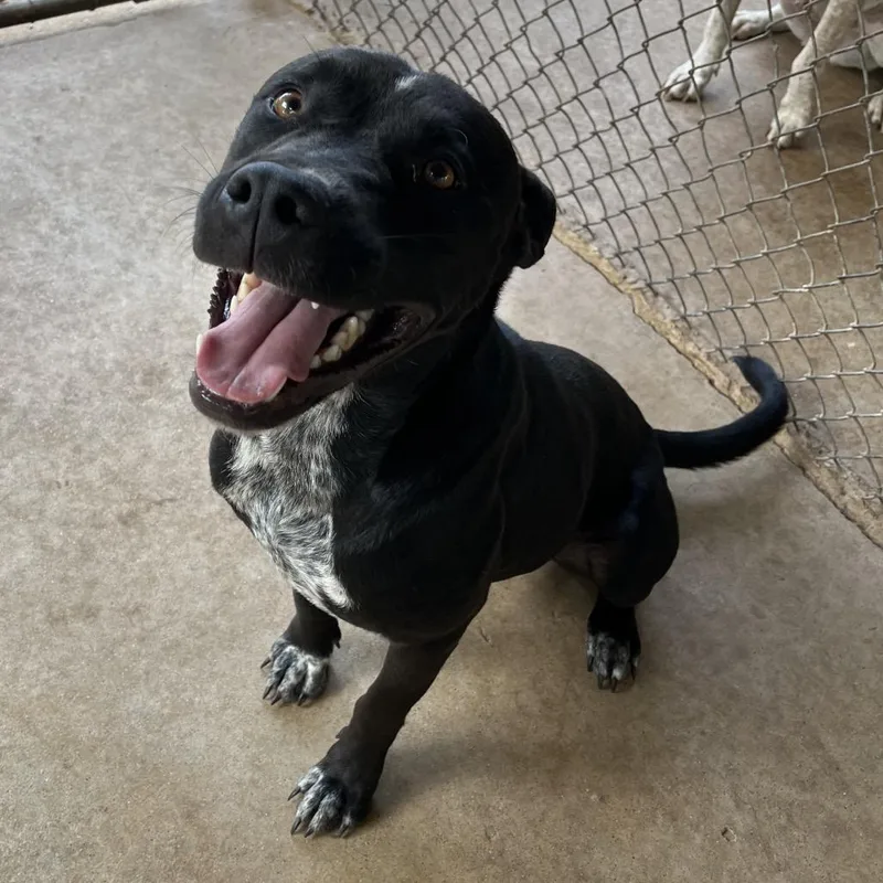 Sam