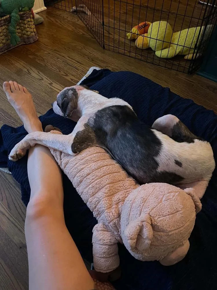 Moxie thumbnail 5