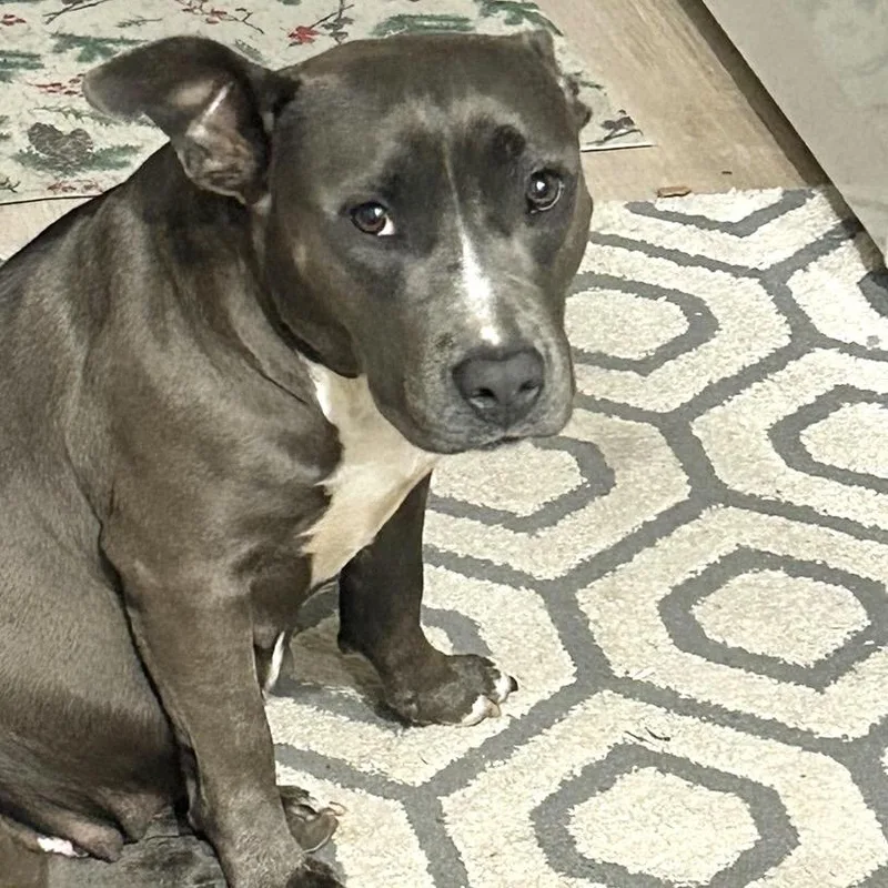 Miss Honey thumbnail 3