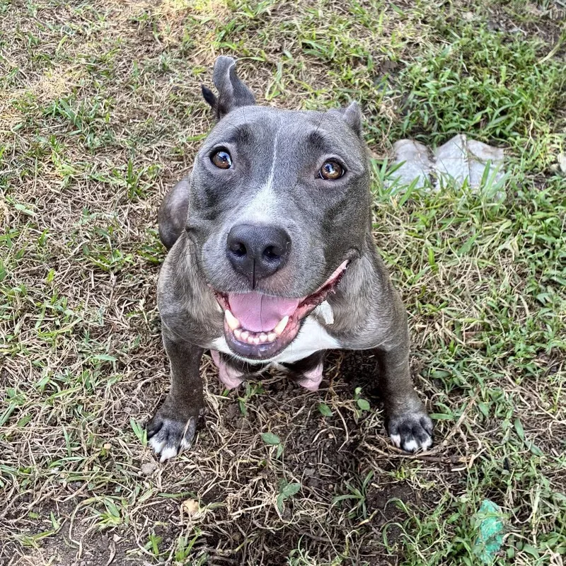 Miss Honey thumbnail 5