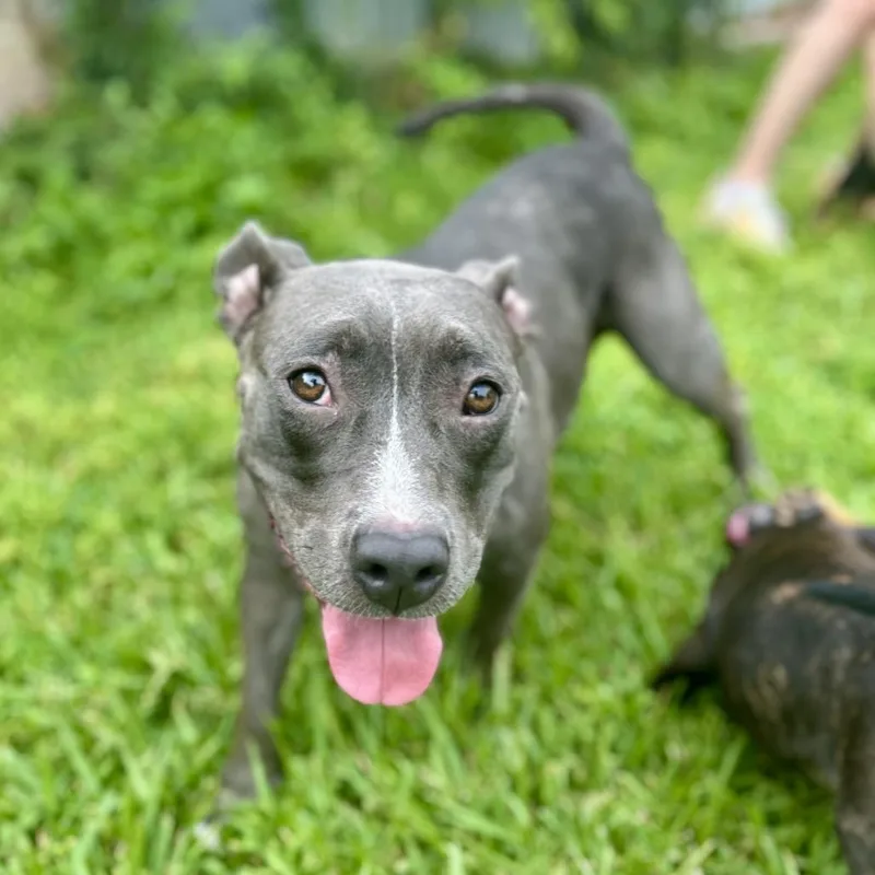 Miss Honey thumbnail 6