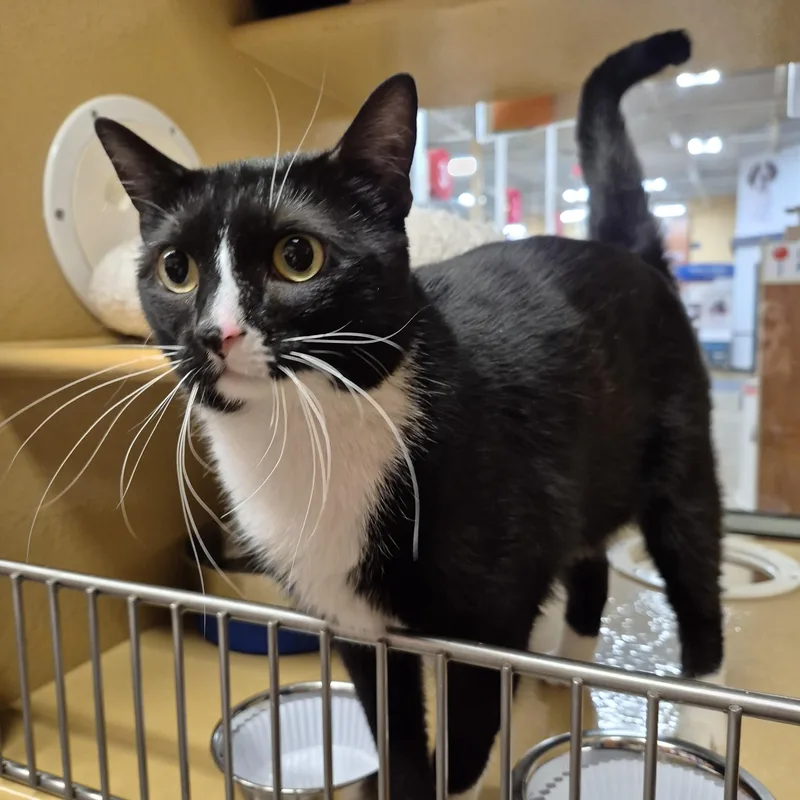 Zippyand Elli thumbnail 2