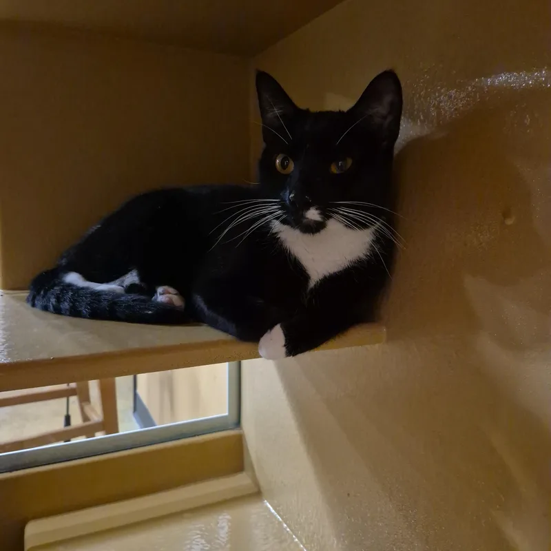 Zippyand Elli thumbnail 3